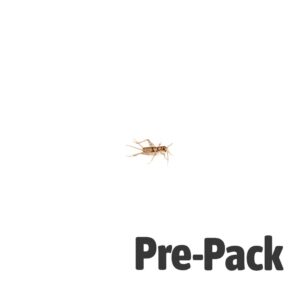 Brown House Cricket Pre-pack. Mini
