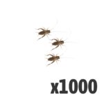 Silent Crickets, Med/Small (Bag of 1000)