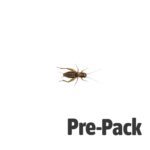 Silent Crickets pre-pack, Medium