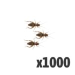 Silent Crickets, Medium (Bag of 1000)