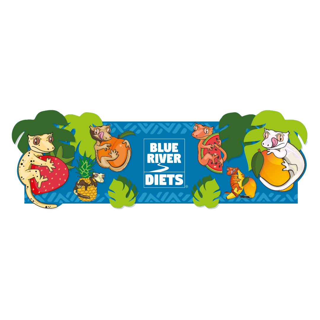 Blue River Brand Headerboards QLHBR001