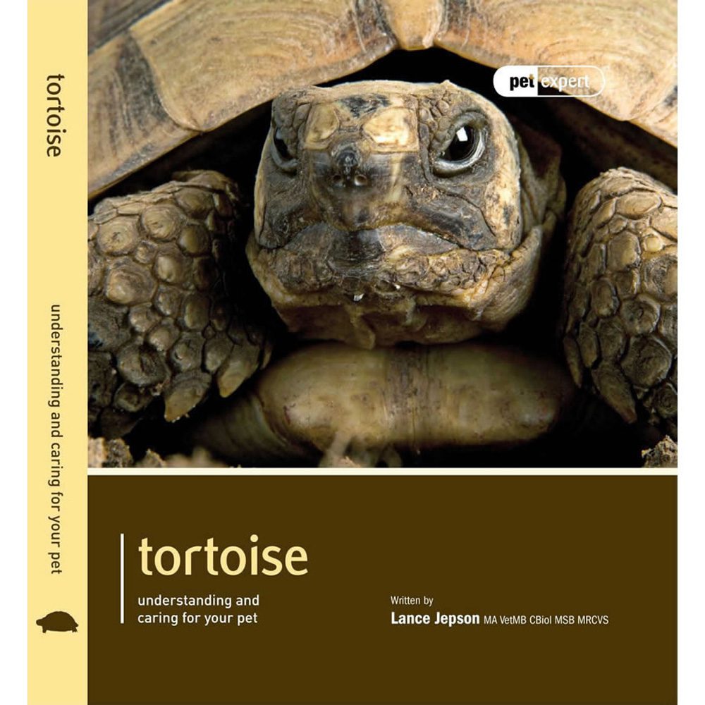 Pet Expert. Tortoise