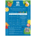 A3 Poster: Blue River Data-Comparison
