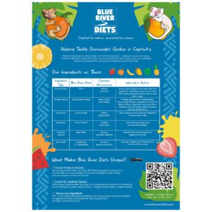 A3 Poster: Blue River Data-Comparison