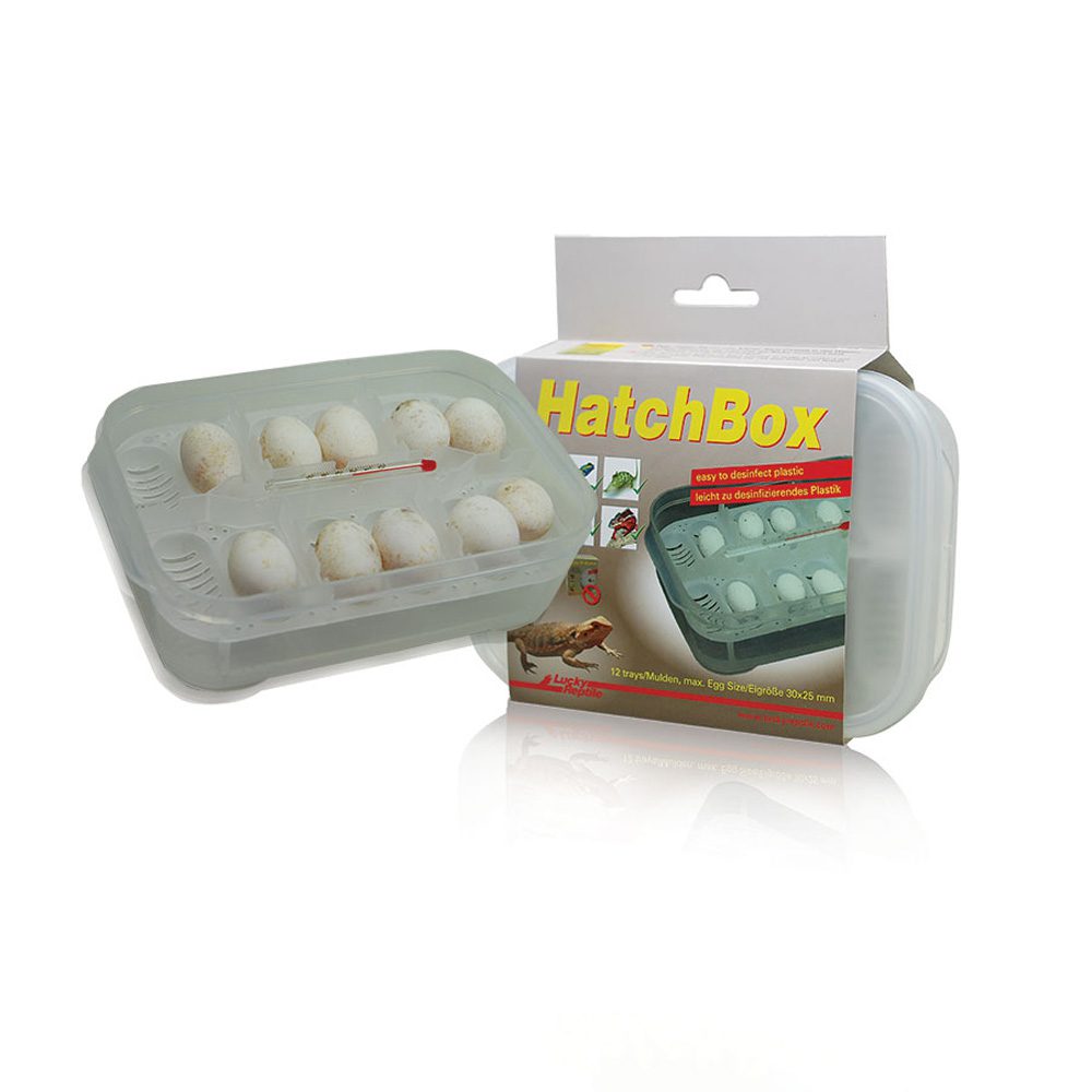 LR Hatchbox Incubation Tray, HB-01