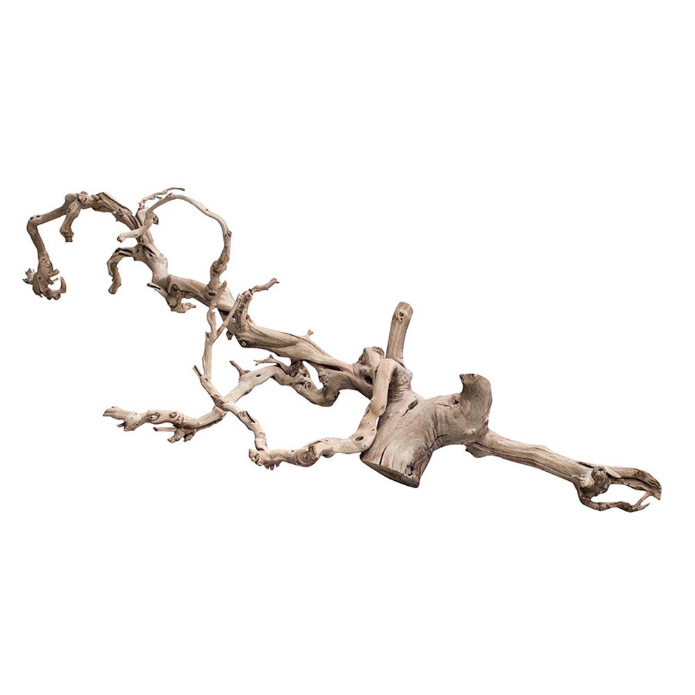 LR Sandblasted Grapevine Show DLR-S LR Sandblasted Grapevine Show DLR-S