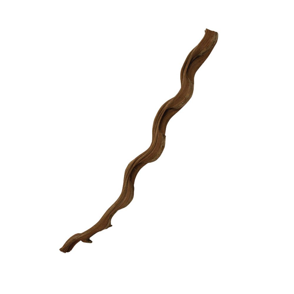 PR Natural Snake Vine, 60cm PR Natural Snake Vine, 60cm