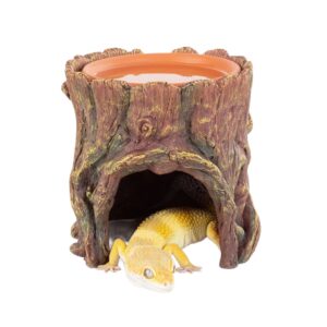 RZ Humid Tree Stump Hideout and Dish