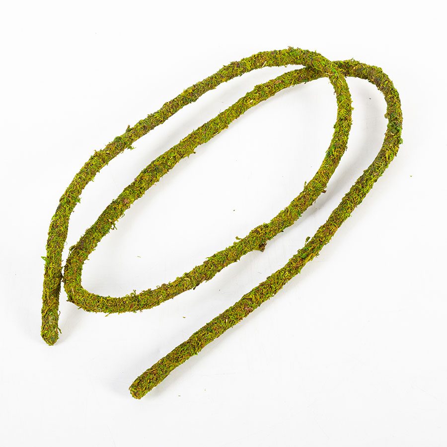 RZ Natural Moss Vine, 200cm x 1.5cm