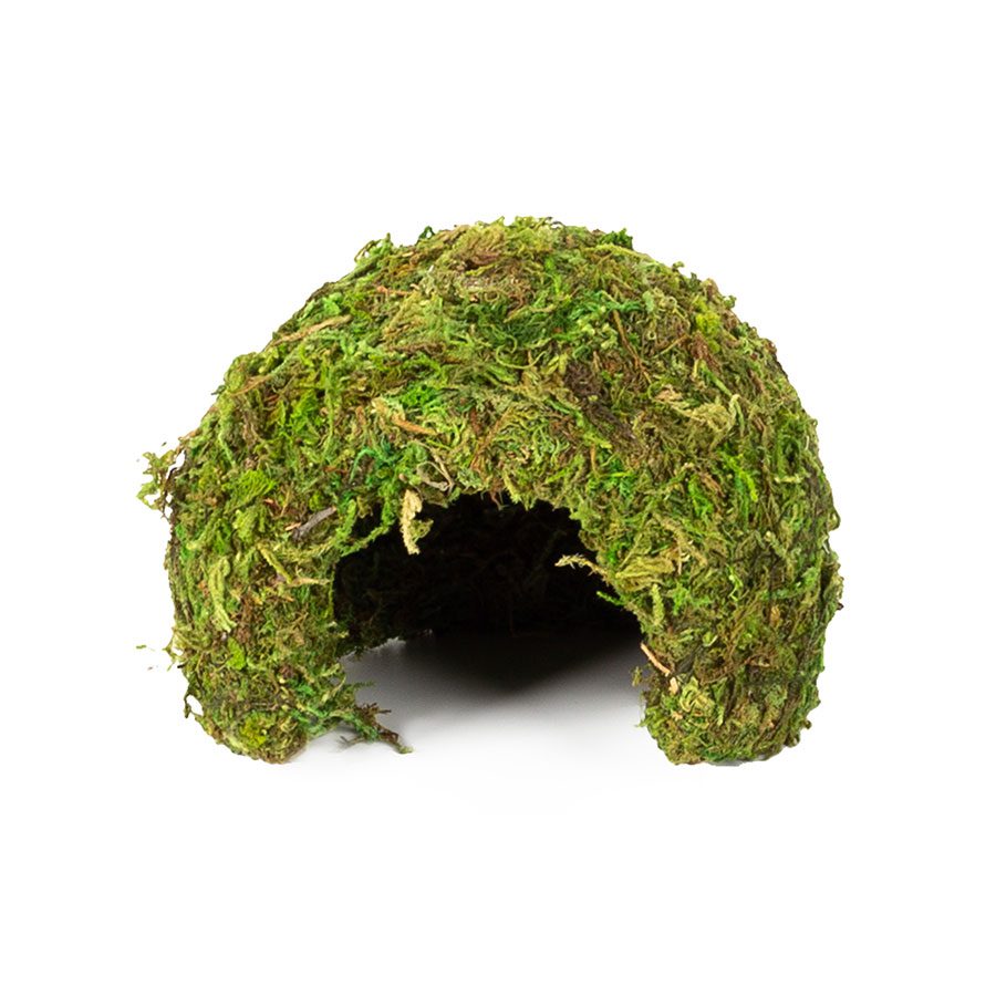 RZ Natural Moss Dome, Small, 11x11x9cm