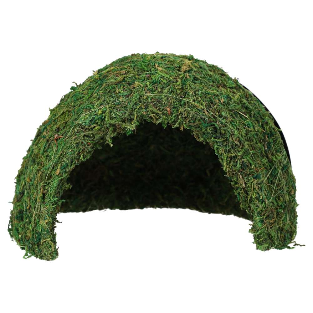 RZ Natural Moss Dome, Medium, 17x17x12cm