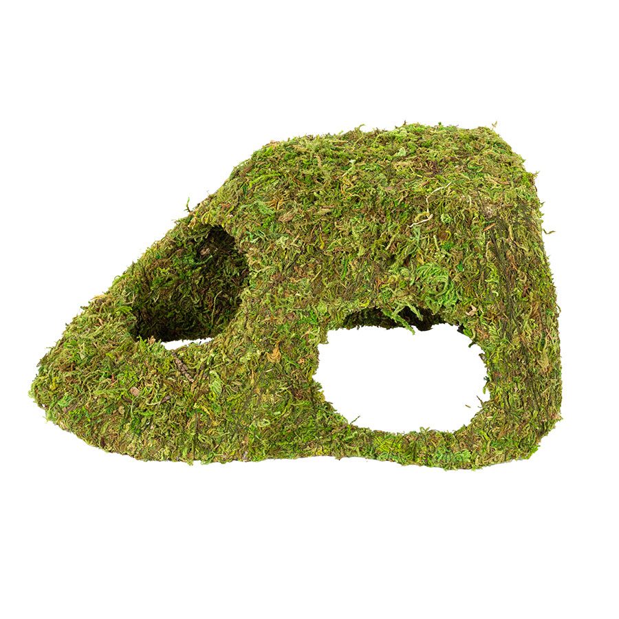 RZ Natural Moss Dome 3 Holes, Xlarge, 25.5x14x11.5cm