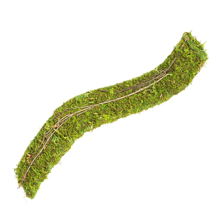 RZ Natural Moss Flex Bridge, Small, 51x7.5x2cm