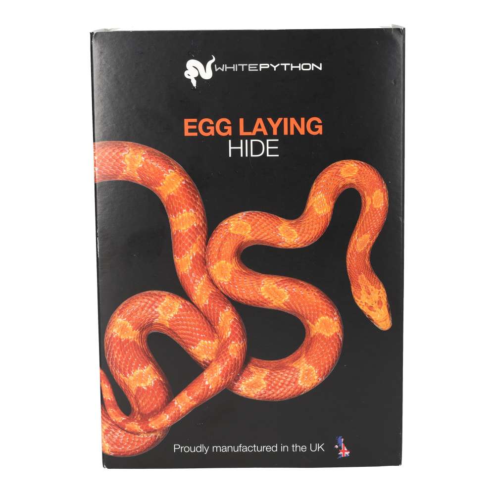 WP Egg laying Hide