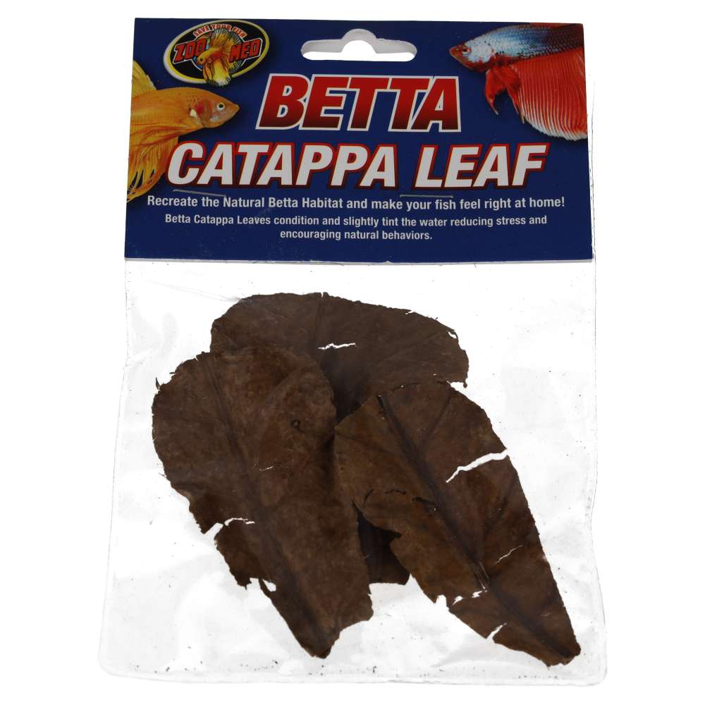 ZM Betta Catappa Leaf  BA-11E