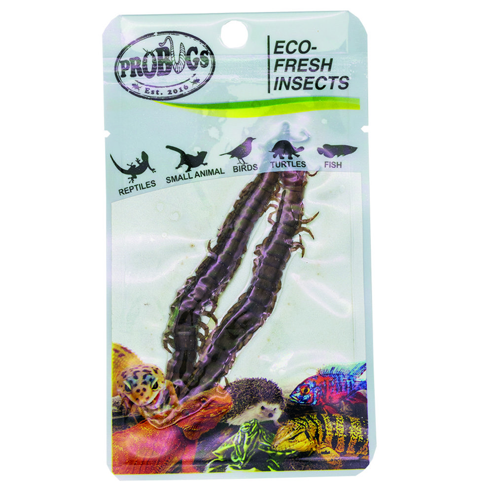 ProBugs 15 PACK Eco Fresh Centipede, 2pcs