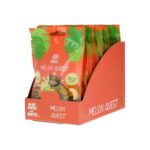 BR Melon Quest Gecko Diet 10x 60g FBR073