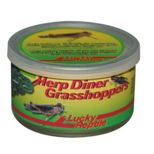 *LR Herp Diner Grasshoppers Med. HDC-21