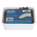 PR Beetle Grub 1