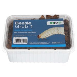 PR Beetle Grub 1