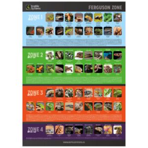 RS A3 Poster: Ferguson Zone Poster