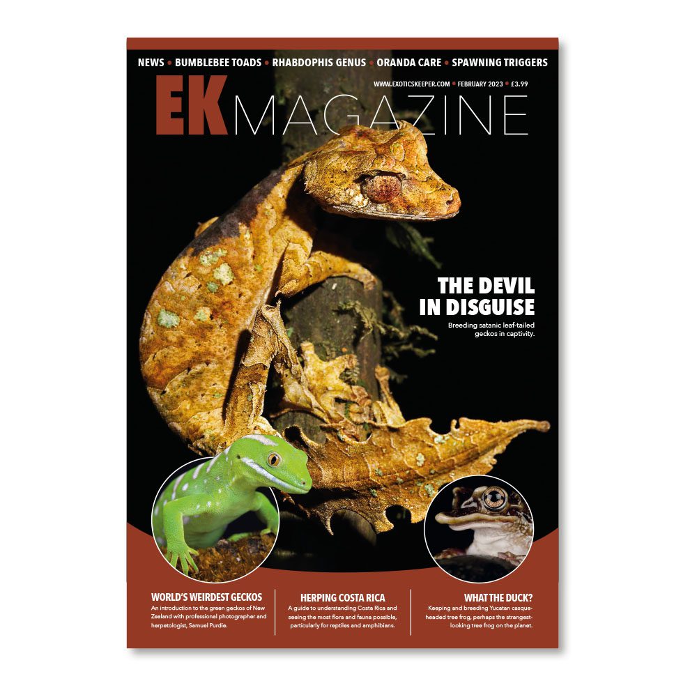 EK Magazine Feb - 2023 (Issue 28)