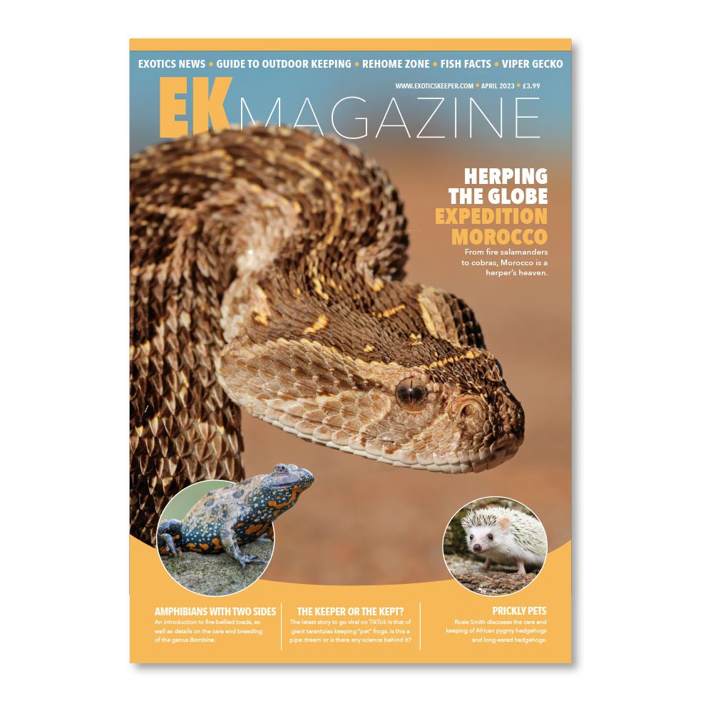 EK Magazine Apr - 2023 (Issue 30)