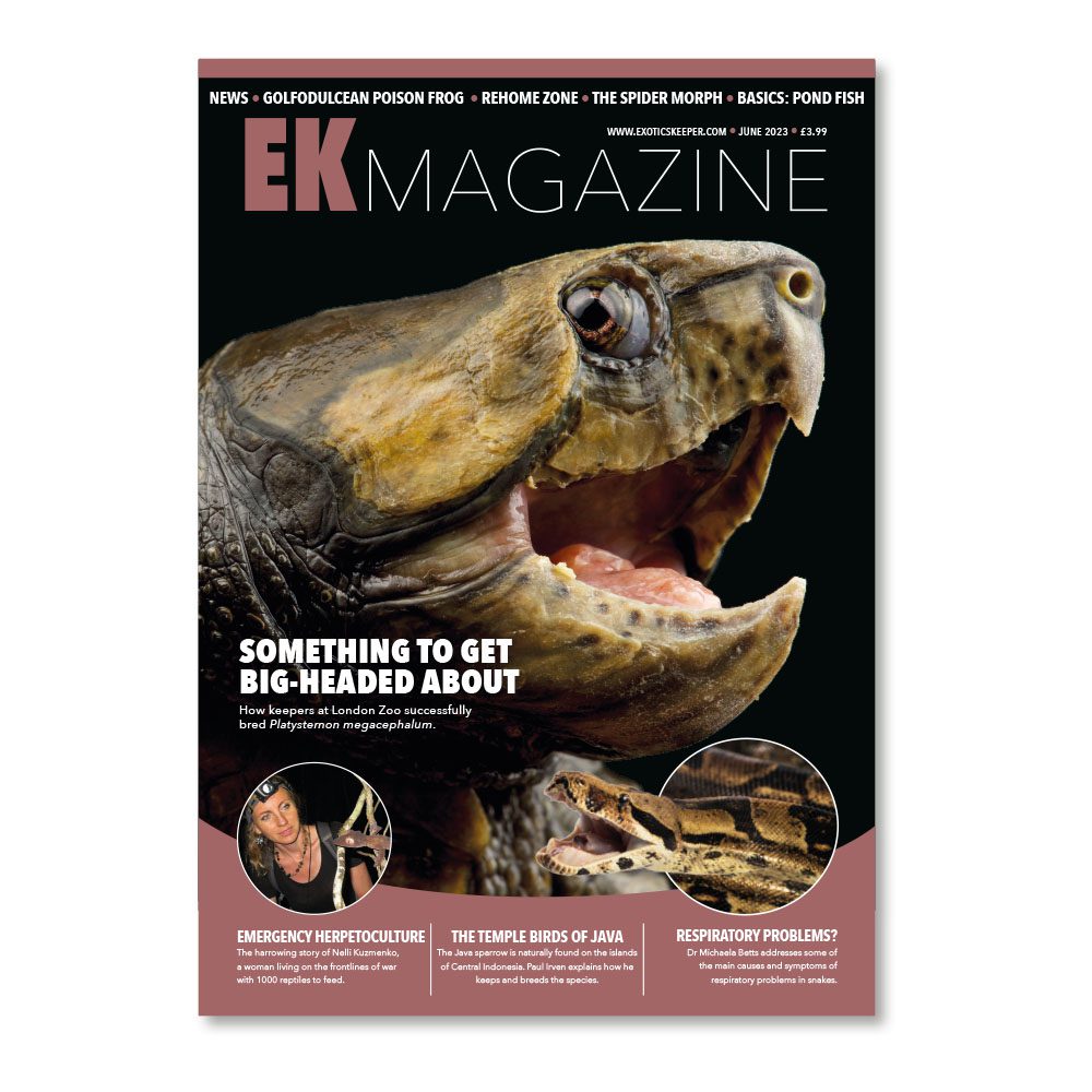 EK Magazine June - 2023 (Issue 32)