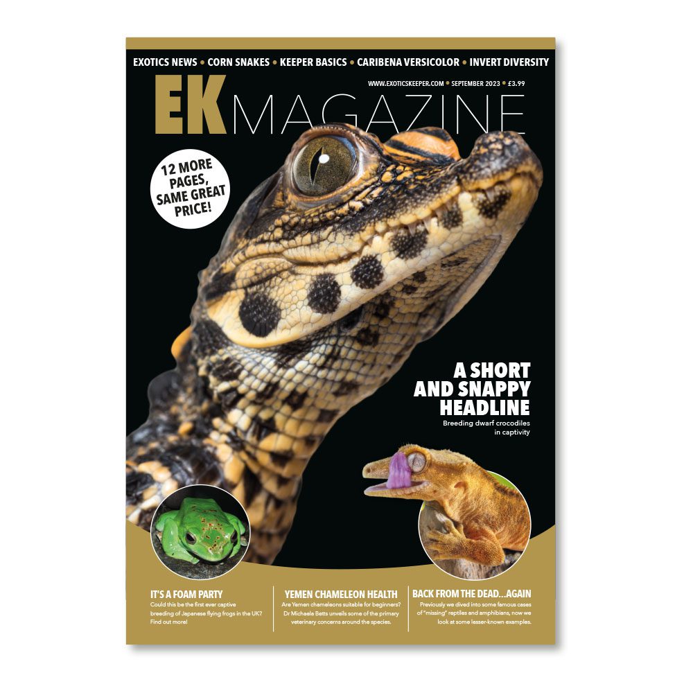 EK Magazine Sep - 2023 (Issue 35)