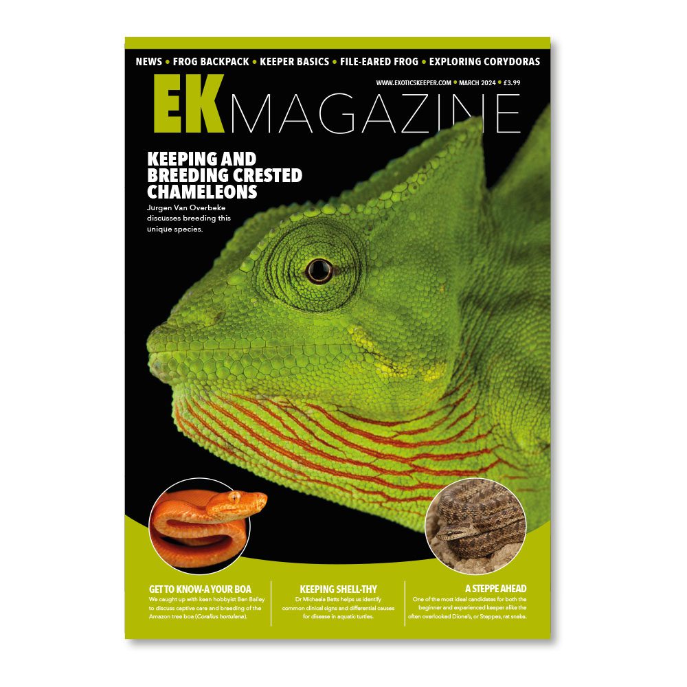 EK Magazine Mar - 2024 (Issue 41)