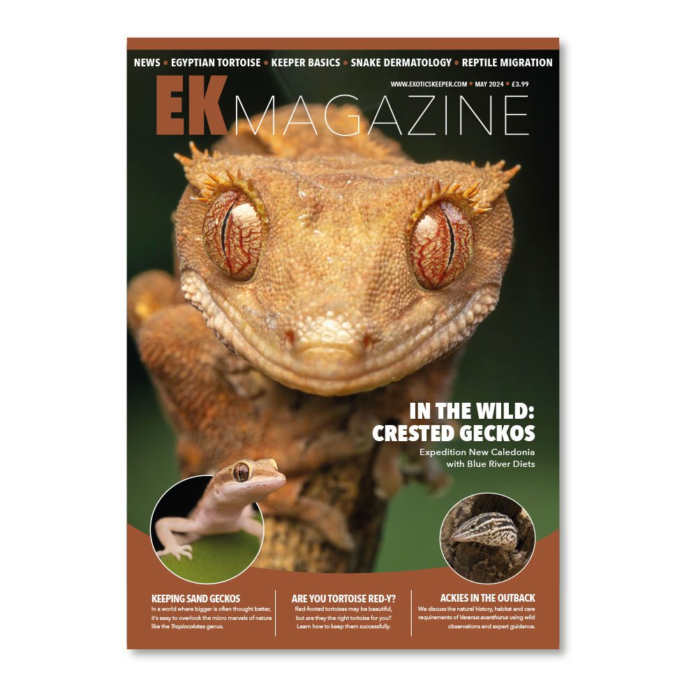 EK Magazine May - 2024 (Issue 43)