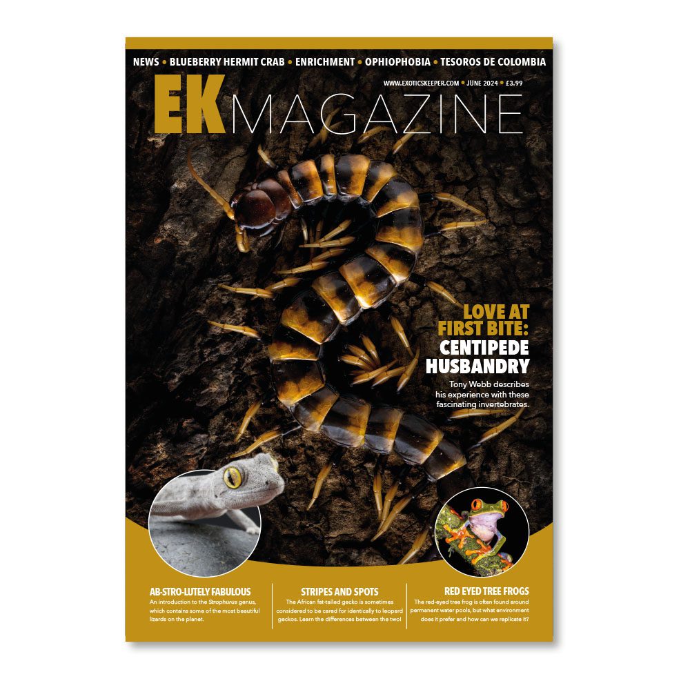 EK Magazine Jun - 2024 (Issue 44)