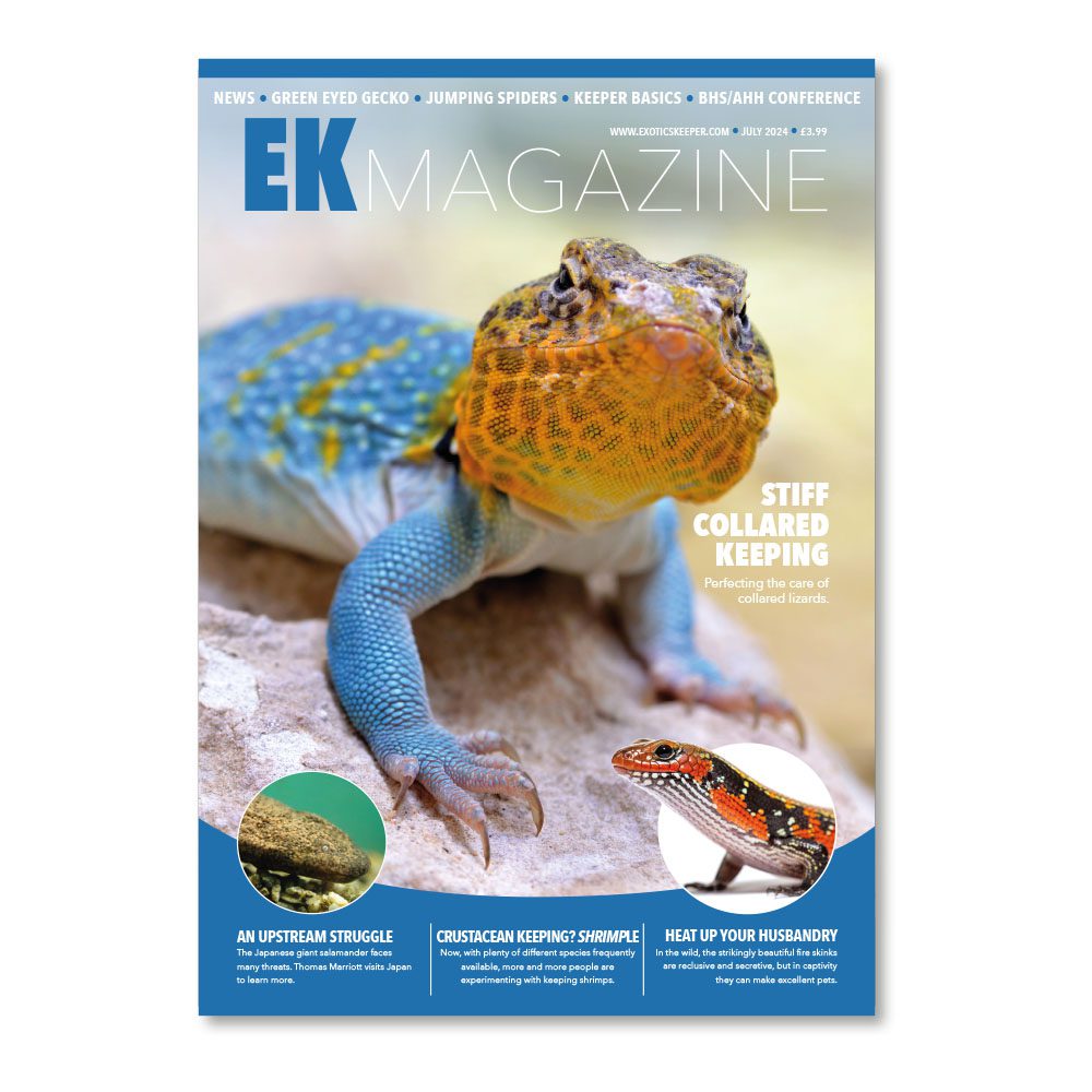 EK Magazine Jul - 2024 (Issue 45)