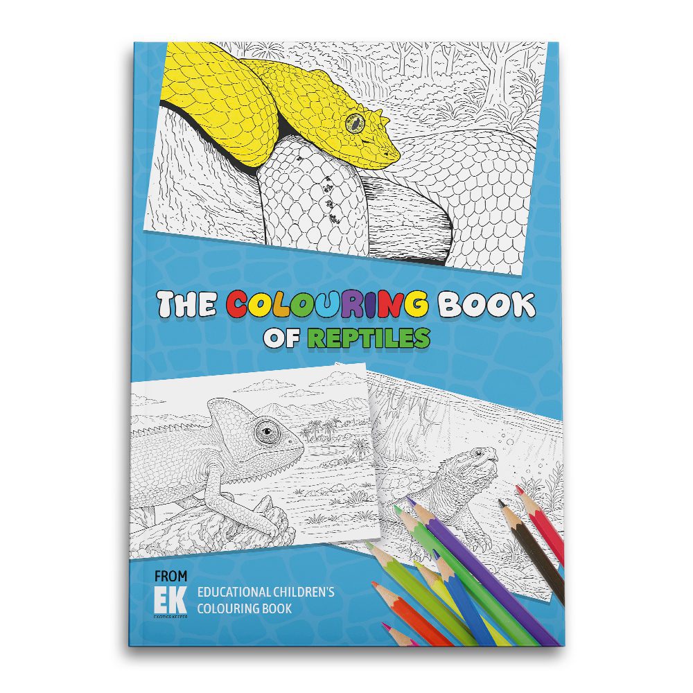 EK Colouring Book Reptile