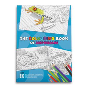 EK Colouring Book Amphibian