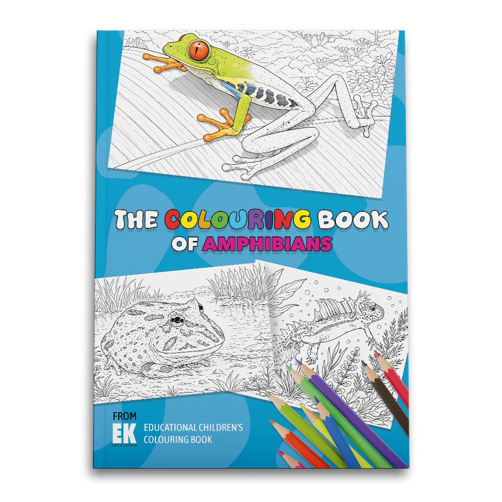 EK Colouring Book Amphibian