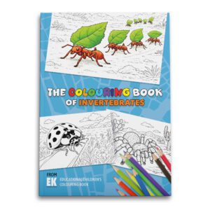 EK Colouring Book Invertebrates