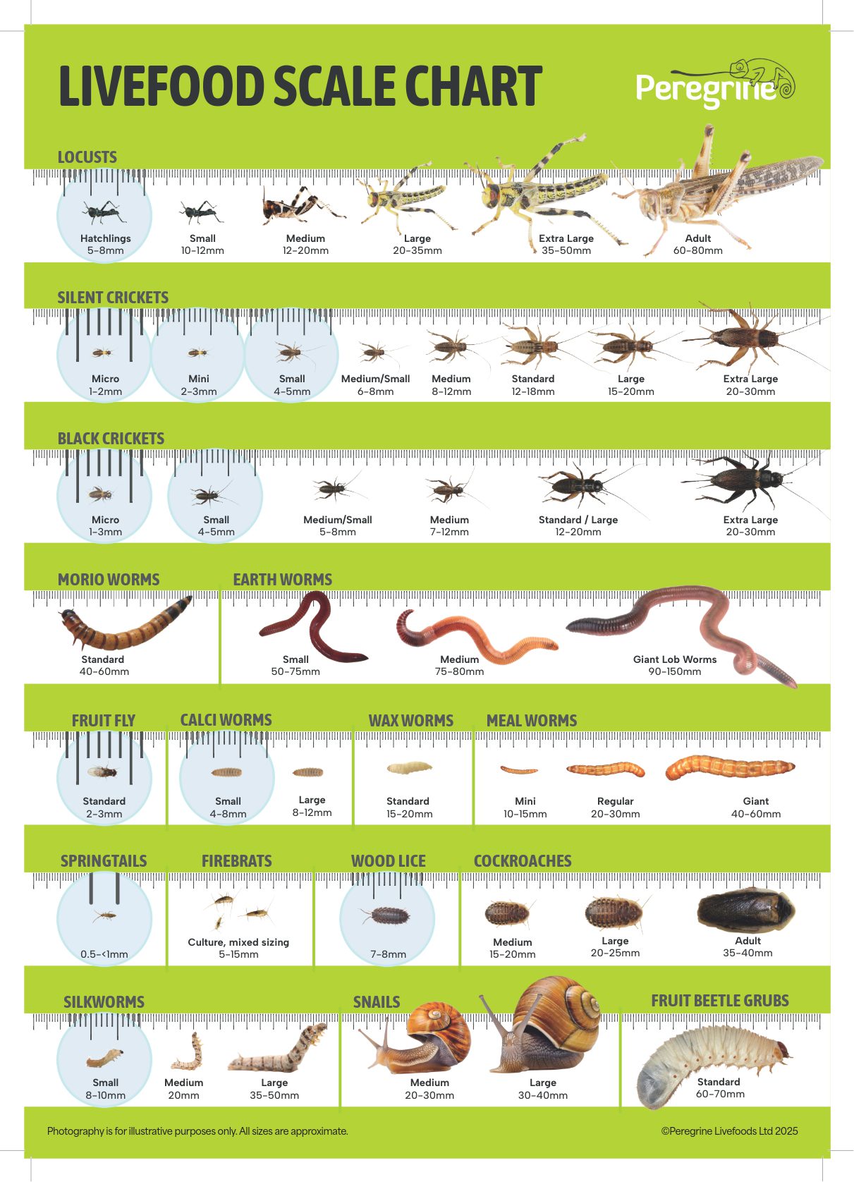PL A3 Poster: Livefood Range & Sizing