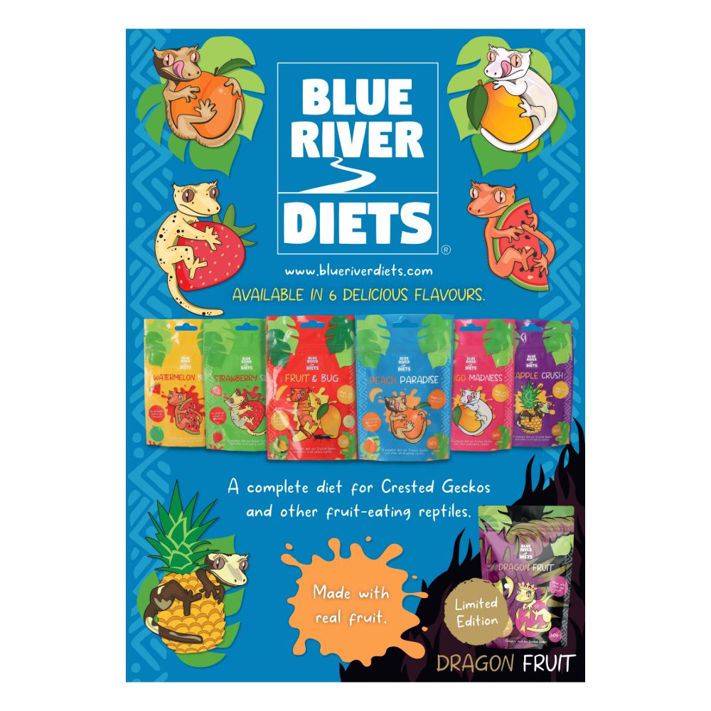 Blue River Diets A3 Posters: Dragon Fruit
