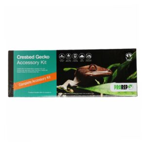 PR Crested Gecko Accessory Kit