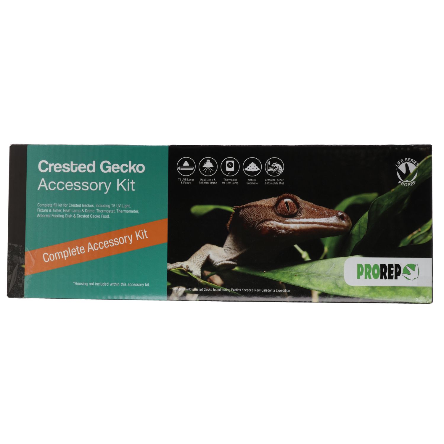 PR Crested Gecko Accessory Kit