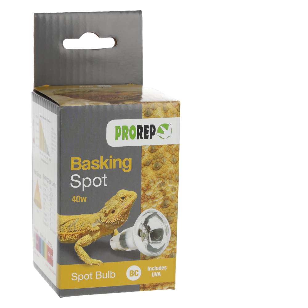 PR Basking Spot Lamp 40w BC