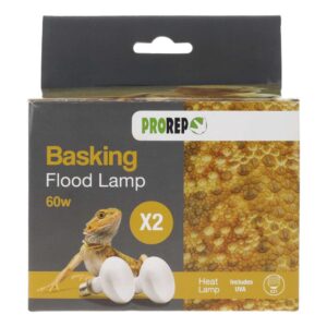 PR 2-Pack Basking Flood Lamp 60w ES