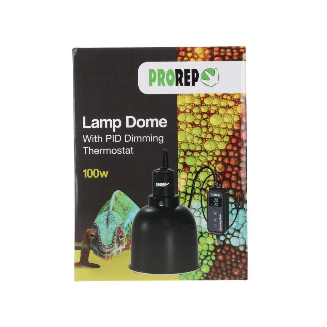PR Lamp Dome with Dimming Stat 100W 140x140x195mm