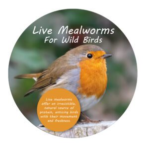 Wild Bird Feed Wobbler
