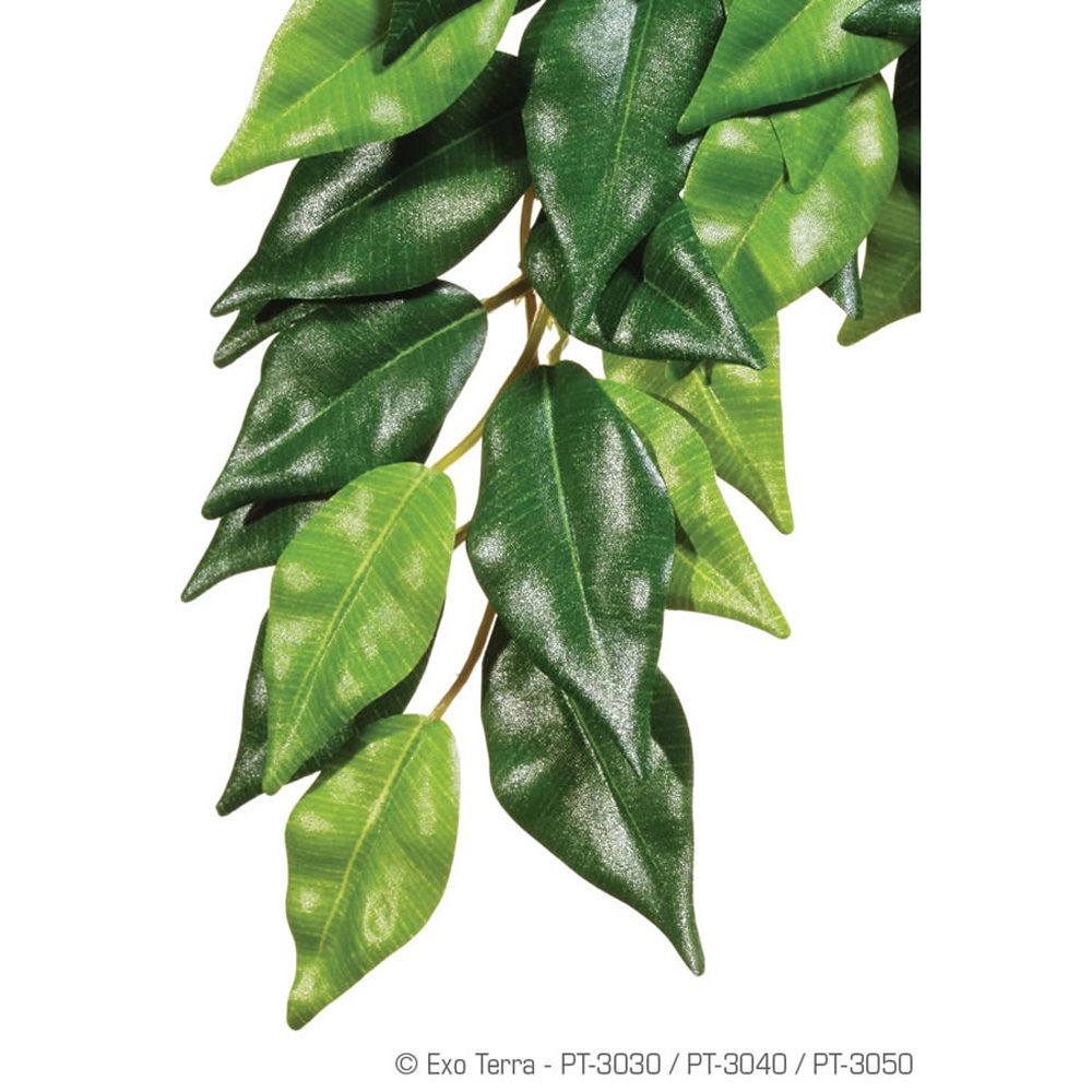 ET Silk Plant Ficus Medium, PT3040