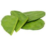 PR Live Food plant. Prickly Pear Pads (CASE 9.2kg)