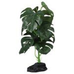 PR Terrestrial Monstera 27cm