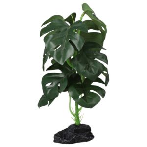 PR Terrestrial Monstera 27cm