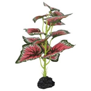 PR Terrestrial Begonia Salsa 27cm